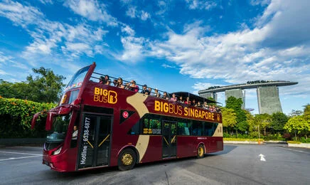 Hop-on Hop-off Big Bus: Discover Tour 