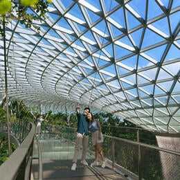 Jewel Changi Airport: Canopy Park Attractions